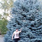  ,   , 64 ,   ,   , c 