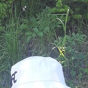 ���������� ����������, ���� ������� �������, 51 ���, ������������ ��� ������, ���������