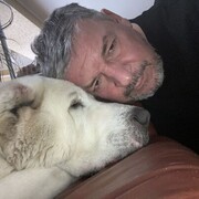  -,   , 55 ,   ,   