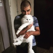 ���������� �������, ���� ������� Gocci, 28 ���, ������������ ��� ������, ����� � ���������, c�������� ���������