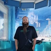 ���������� �����������-��-�����, ���� ������� �������, 36 ���, ������������ ��� ������, ����� � ���������, c�������� ���������