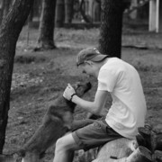 ���������� ���������� �����, ���� ������� �����, 32 ����, ������������ ��� ������, ����� � ���������, c�������� ���������