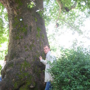 ���������� �����-���������, ���� ������� ����, 37 ���, ������������ ��� ������