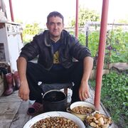  ,   , 44 ,   ,   , 