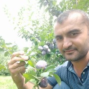 ���������� ������������, ���� ������� Ali, 41 ���, ������������ ��� ������, ����� � ���������, c�������� ���������