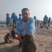 ���������� ������, ���� ������� �������, 50 ���, ������������ ��� ������, ����� � ���������, c�������� ���������