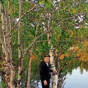  ,   , 44 ,   ,   , c , 