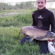  ,   , 38 ,     , c 