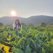 ���������� ������, ���� ������� OLLI ���, 33 ����, ������������ ��� ������, ����� � ���������