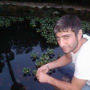  ,   Mamu, 34 ,   ,   , c 