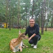 ���������� �����, ���� ������� ��������, 40 ���, ������������ ��� c�������� ���������