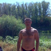 ���������� ��������, ���� ������� �����, 46 ���, ������������ ��� ����� � ���������, c�������� ���������