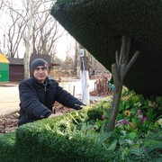 ���������� ������, ���� ������� �������, 41 ���, ������������ ��� ����� � ���������, c�������� ���������