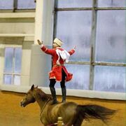 ���������� ������, ���� ������� ����, 31 ���, ������������ ��� ������, ����� � ���������, c�������� ���������, ���������