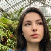 ���������� ����, �����