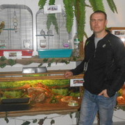   ,   , 41 ,   