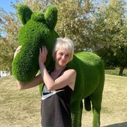 ���������� ������, ���� ������� ���������, 33 ����, ������������ ��� ������, ����� � ���������