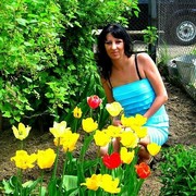  ,   , 44 ,   