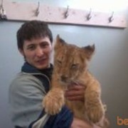 ���������� �����������, ���� ������� ������, 37 ���, ������������ ��� ����� � ���������, c�������� ���������