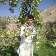  ,   Ahmad, 42 ,     , c , 