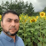 ���������� ������, ���� ������� ����, 40 ���, ������������ ��� ������, ����� � ���������