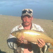 ���������� ������, ���� ������� �������, 62 ����, ������������ ��� ������