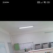 ���������� �����, ���� ������� ������, 31 ���, ������������ ��� ������, ����� � ���������, c�������� ���������