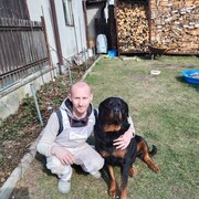  Plzen,   , 33 ,   ,   , c , 