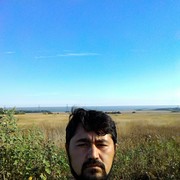  ,   , 37 ,   