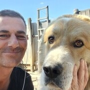 ���������� ������ ��������, ���� ������� �������, 47 ���, ������������ ��� ������, ����� � ���������