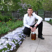 ���������� ����, ���� ������� �������, 43 ����, ������������ ��� ������, ����� � ���������, c�������� ���������, ���������