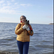  ,   , 56 ,     , c , 