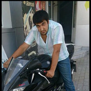 ���������� ����������, ���� ������� Sardor, 35 ���, ������������ 