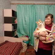  ,   , 52 ,   ,   
