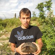  ,   Tim, 35 ,   