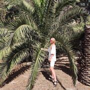 ���������� ������, ���� ������� �����, 28 ���, ������������ ��� ������, ����� � ���������