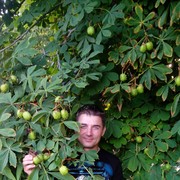 ���������� ���������, ���� ������� �����, 56 ���, ������������ ��� ������, ����� � ���������, c�������� ���������