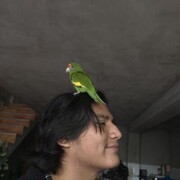  ,  Zahir, 19