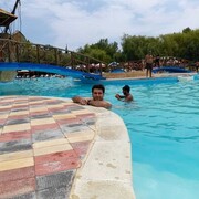 ���������� ����, ���� ������� �����, 33 ����, ������������ ��� ������, ����� � ���������, c�������� ���������, ���������