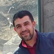 ���������� ���������, ������� �����, 43