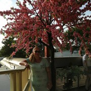  ,   , 55 ,   ,   , c 