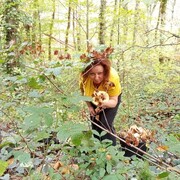 ���������� �������, ���� ������� ����, 38 ���, ������������ ��� c�������� ���������, ���������