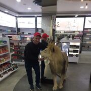 ���������� �����������, ���� ������� ���, 38 ���, ������������ ��� ������, ����� � ���������