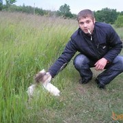  ,   , 41 ,  