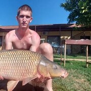 ���������� �����-�����, ������� �������, 27