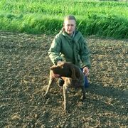  --,   , 33 ,   ,   , 