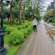 ���������� �������, ���� ������� ������, 29 ���, ������������ ��� ������, ����� � ���������