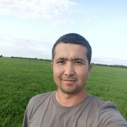 ���������� �����-���������, ���� ������� �����, 31 ���, ������������ ��� ������, ����� � ���������, c�������� ���������, ���������