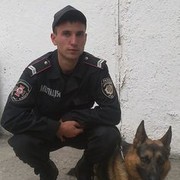  ,   , 38 ,     , c 