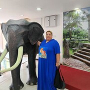 ���������� ������, ���� ������� �����, 42 ����, ������������ ��� ������, ����� � ���������, c�������� ���������, ���������